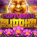 Casino Me free spins 